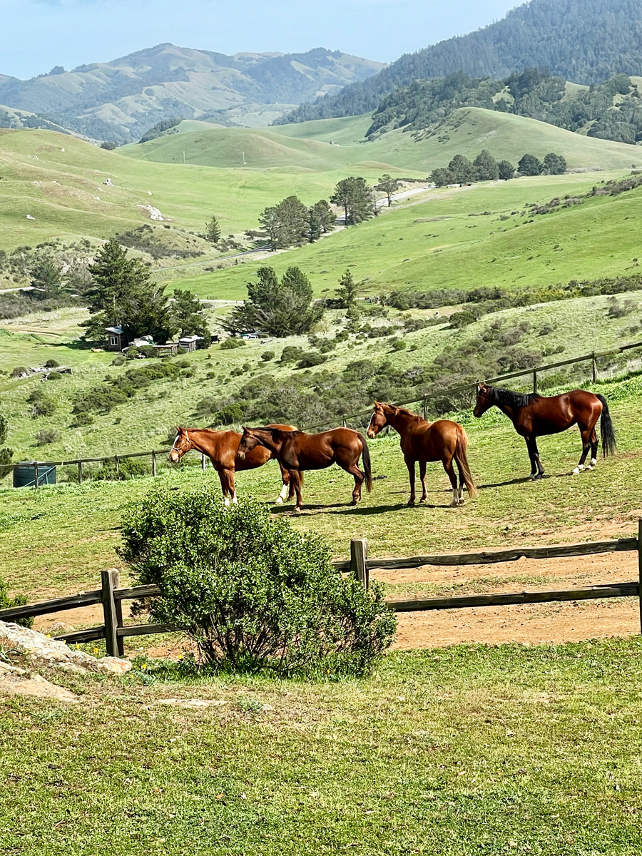 ranch photography spots | lakeside photoshoot venues | riverside shoot spots