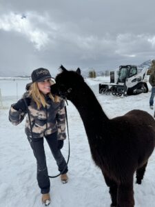 Lexus photoshoot Alpacas as props Sweet Valley Alpacas Idaho Fish and Game regulations Unique animal props Creative solutions in photography Wildlife-friendly photoshoots