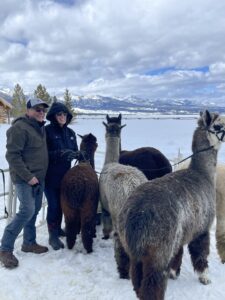 Lexus photoshoot Alpacas as props Sweet Valley Alpacas Idaho Fish and Game regulations Unique animal props Creative solutions in photography Wildlife-friendly photoshoots