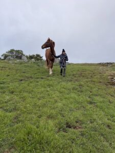 Ariat English Countryside Nicasio photoshoot Josh LaCunha photographer English countryside fashion Mystic beauty photoshoot Rolling hills and fog photography Ariat countryside lifestyle