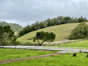 Ariat English Countryside Nicasio photoshoot Josh LaCunha photographer English countryside fashion Mystic beauty photoshoot Rolling hills and fog photography Ariat countryside lifestyle