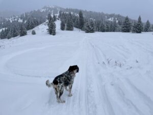 LL Bean winter photoshoot Winter wonderland photography Snowy wilderness photoshoot LL Bean winter gear Cathrine Wessel photographer Outdoor adventure photography Snow-covered landscape photoshoot