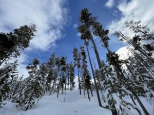 LL Bean winter photoshoot Winter wonderland photography Snowy wilderness photoshoot LL Bean winter gear Cathrine Wessel photographer Outdoor adventure photography Snow-covered landscape photoshoot